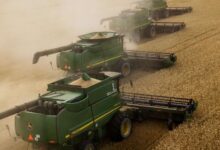 Photo of Rusia a obţinut o nouă producţie record de cereale în acest an