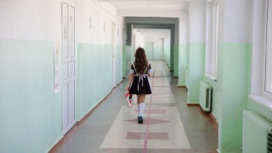 Photo of Mese gratuite sunt organizate în aproape toate școlile din Găgăuzia