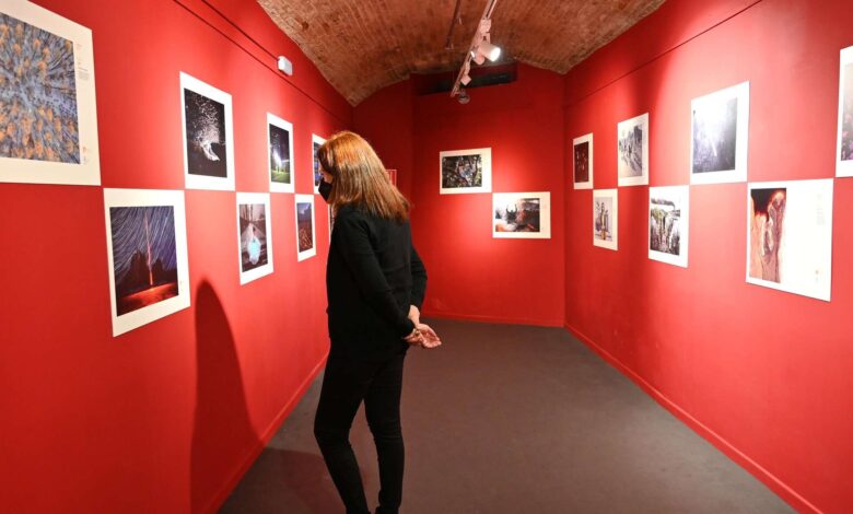 Photo of Concursul Stenin